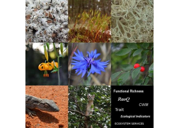 Hands on Functional Diversity:  from Ecological Indicators to Ecosystem Services 2021-2022